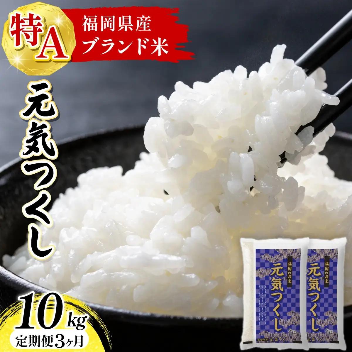 【定期便：３ケ月】令和７年産 福岡県産米 元気つくし 10kg 精米 CY012sub3