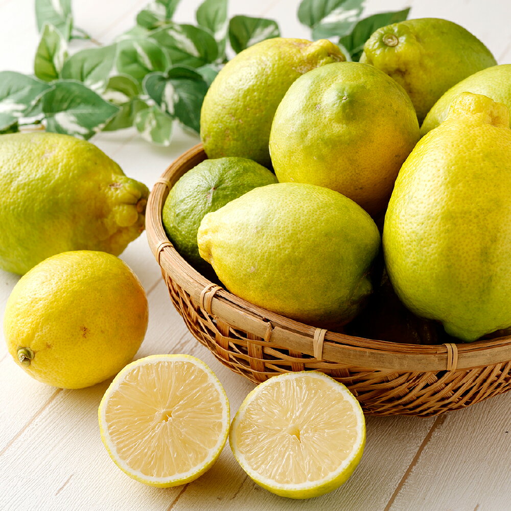 【ふるさと納税】【訳あり】晴れの国レモン（家庭用） 6.0kg以上 減農薬 サイズ不揃い 防腐剤・防カビ剤・ワックス不使用 璃の香 レモン れもん 檸檬 フルーツ くだもの 果物 果実 大玉 レモンジュース 国産 岡山県産 倉敷市 送料無料 【2026年11月上旬～12月上旬発送】