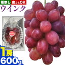 【ふるさと納税】ぶどうウインク1房 約600g 岡山県産《9月上旬-10月下旬頃出荷(土日祝除く)》 ばんの農園 ぶどう 送料無料 岡山県 浅口市 フルーツ 果物 贈り物 ギフト 国産 【配送不可地域あり】