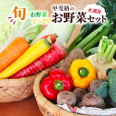 【ふるさと納税】旬のお野菜がどっさり！甲斐路の大満足お野菜セット　【 フルーツ 詰合せ 有機肥料 おまかせ 季節 支援 安心 新鮮 たっぷり 】