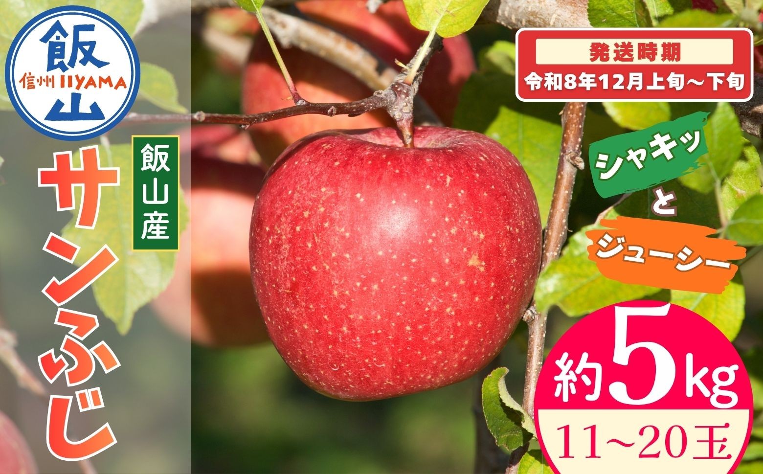 
                  【先行予約丨2026年12月上旬より順次発送】サンふじ【約5kg(11〜20玉)】丨長野県 飯山市 サンふじ 果物 デザート おやつ おすすめ ランキング おいしい 高評価 大人気 先取り 産地直送 りんご(At-031)
                