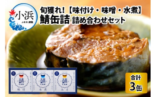 旬獲れ 鯖缶詰　3ヶ詰め合わせ(味付・味噌・水煮) [BFAA054]