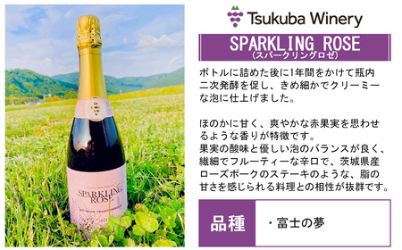 つくばワイナリー 満喫セット【お酒 葡萄 ぶどう ブドウ 茨城県産 つくば市産 ワイナリー ワイン ワイン ワイン ワイン ワイン 】