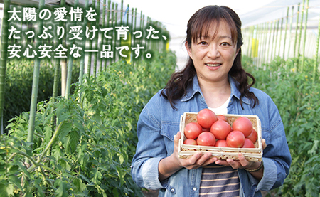 うしの恵 フルーツトマト 約2kg - 送料無料 期間限定 野菜 とまと 産地直送 料理 サラダ 鍋 サンドイッチ 完熟 甘い ギフト 贈答 お礼 御礼 おいしい 国産 高知県 香南市 常温 mj-0