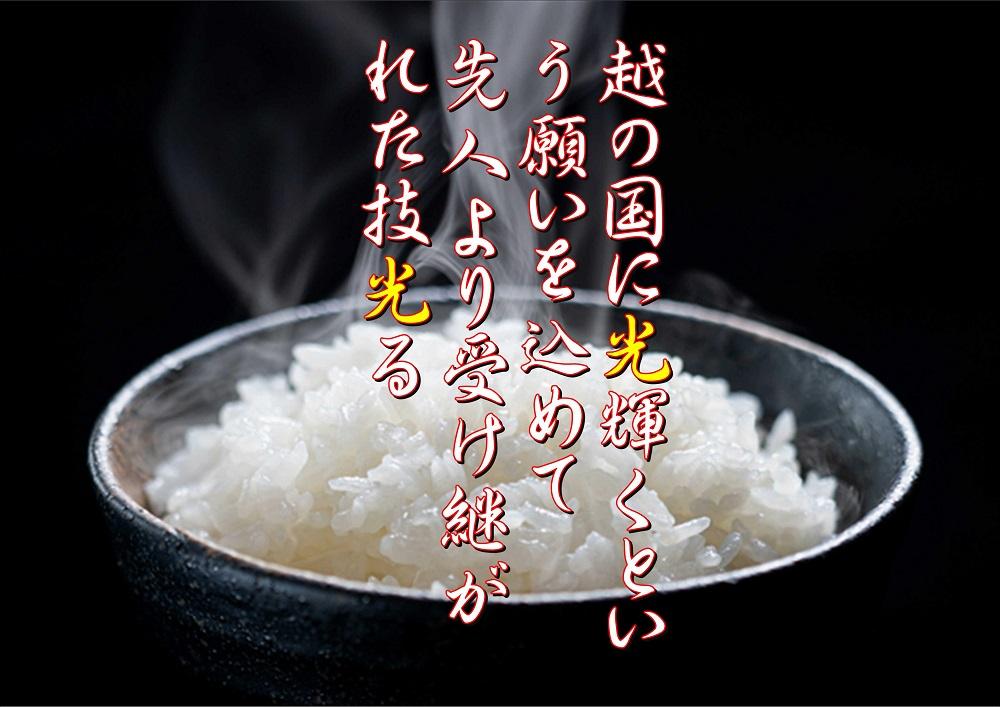 【6ヶ月連続お届け】南魚沼産コシヒカリ　5kg×2　新潟県　南魚沼　南魚沼産　こしひかり　米　お米