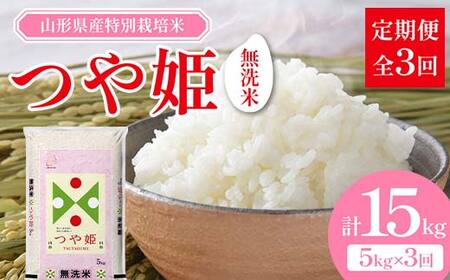 【令和7年度産】山形県産 特別栽培米 無洗米 つや姫 5kg（BG無洗米） 全3回定期便 ≪2025年10月より順次発送≫ F2Y-3917