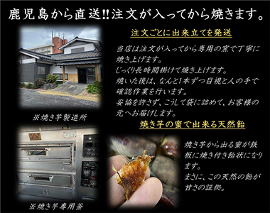 鹿児島県産 さつまいも 【3種食べ比べ】 焼き芋 3kg(500g×6袋) 蜜芋 さつまいも【クール便配送】 2682