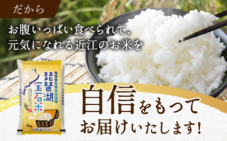 米 10kg お米 琵琶湖宝石米 こめ コメ おこめ 白米 精米 B-G10 中川吉兵衛商店 東近江