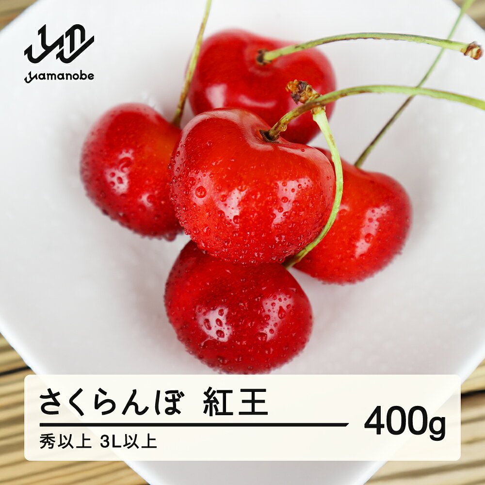 【ふるさと納税】 先行予約 さくらんぼ やまがた紅王 3L以上 秀以上 400g 2027年産 令和9年産 山形県産 送料無料 mm-yb3lx400 ※沖縄・離島への配送不可