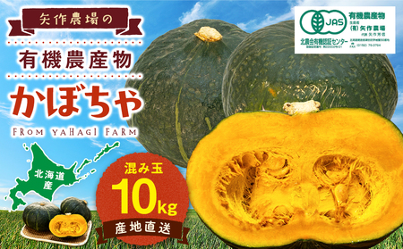 【先行受付】R8年産 有機栽培かぼちゃ 10kg | かぼちゃ カボチャ 南瓜 大容量 パンプキン 甘い 有機栽培 国産 産地直送 北海道 津別町 送料無料