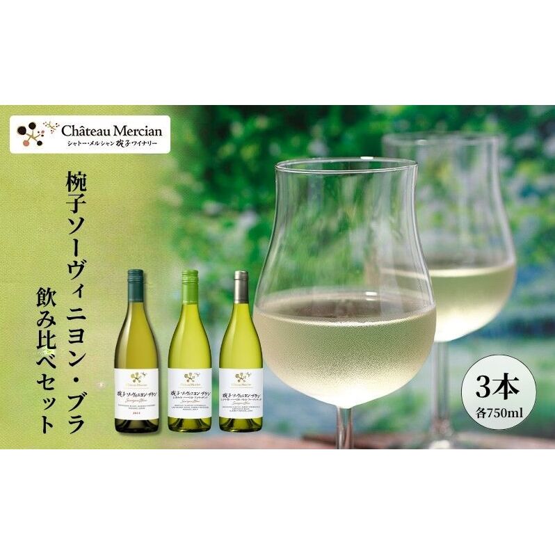 【ふるさと納税】「椀子ソーヴィニヨン・ブラン」飲み比べセット ワイン 白ワイン お酒 酒 アルコール 長野 長野県 上田市