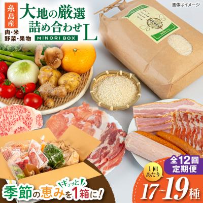 ふるさと納税 糸島市 全12回定期便 糸島産 肉 米 野菜 果物 厳選詰め合わせ MINORI BOX L[AOP018]