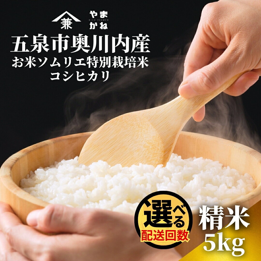 【ふるさと納税】 【先行予約】令和8年産 米 5kg(5kg×1袋) 五泉市奥川内産 コシヒカリ お米ソムリエ 特別栽培米 選べる配送回数 | 白米 精米 こしひかり お米 おこめ 新潟県 五泉市 ライスファーマーやまかね