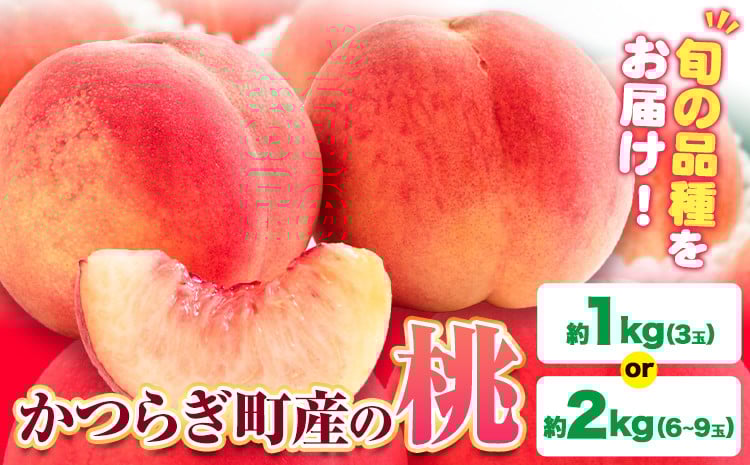 
            【先行予約】桃 かつらぎ町産 選べる 内容量 約 1kg 約 2kg 紀農人株式会社《2025年6月上旬-8月中旬頃出荷》 和歌山県 日高川町 果物 フルーツ 桃 もも モモ 旬
          