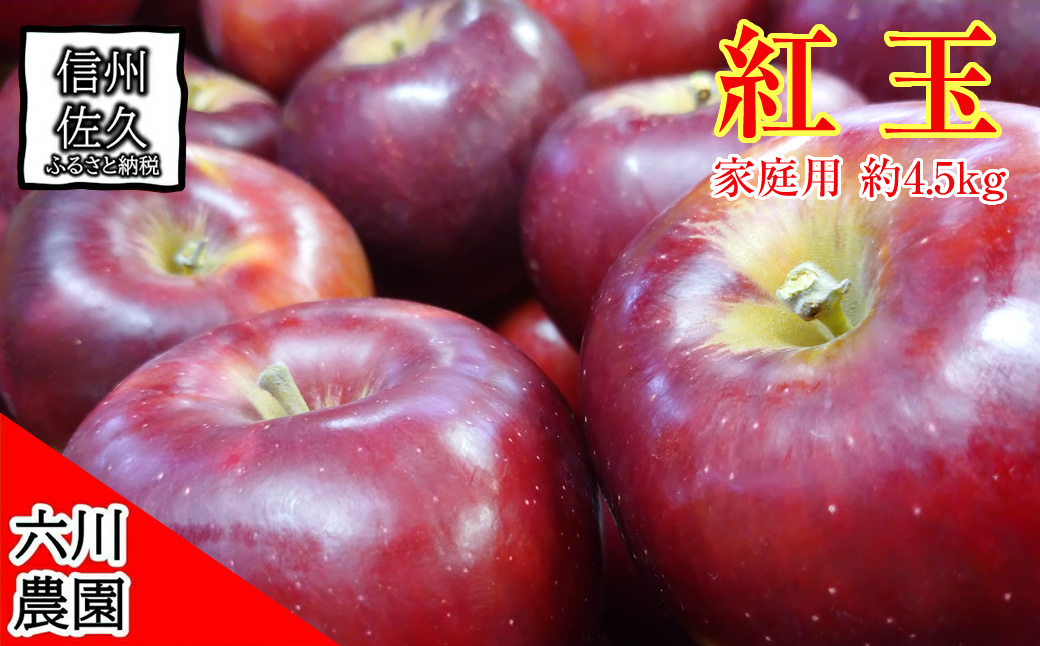 長野県産 紅玉 りんご 家庭用 約4.5kg （18～28玉）〈2026年10月出荷分／北海道・沖縄県・離島は配送不可〉 信州 果物 旬彩 先行予約 季節限定【 当園にて愛情たっぷりに育てたりんご 長