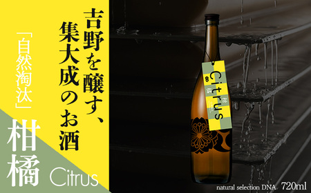 日本酒 自然淘汰 Citrus [BRAG018]