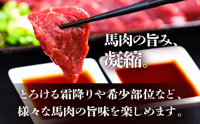 純国産馬 馬刺し食べ比べセット計約260g(赤身/約70g フタエゴ/約70g 霜降り/約70g タテガミ/約50g) / ばさし 馬刺 熊本馬刺し 熊本県 菊陽町【株式会社古閑ファーム】 [BHDF