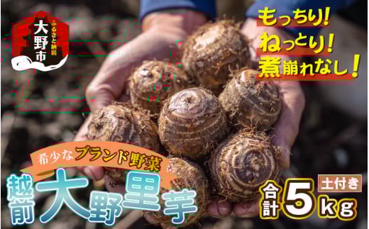 【先行予約】越前大野里芋 5kg ねっとりうまい煮崩れしない！【11月より順次発送】