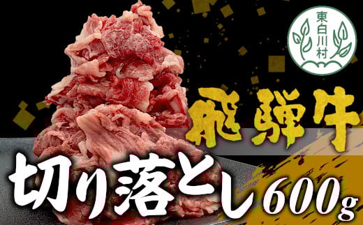 【8月発送】飛騨牛 切り落とし 600g 牛肉 和牛 肉 切落し ブランド牛 国産 10000円
