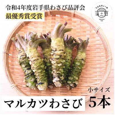 ふるさと納税 遠野市 マルカツわさび 小サイズ 5本 真空 岩手県遠野市産【こんたでぃーの遠野】