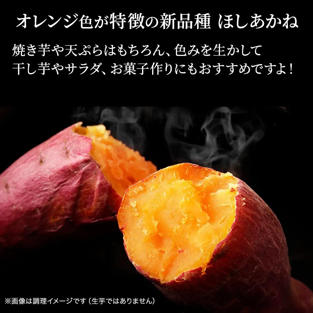 さつまいも 【 紅あずま ・ ほしあかね 】 5kg ( 箱込 )の 2箱セット