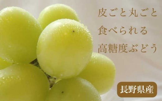 皮ごと味わえる人気のシャインマスカット。パリッと食感と上品な甘みが広がります。
