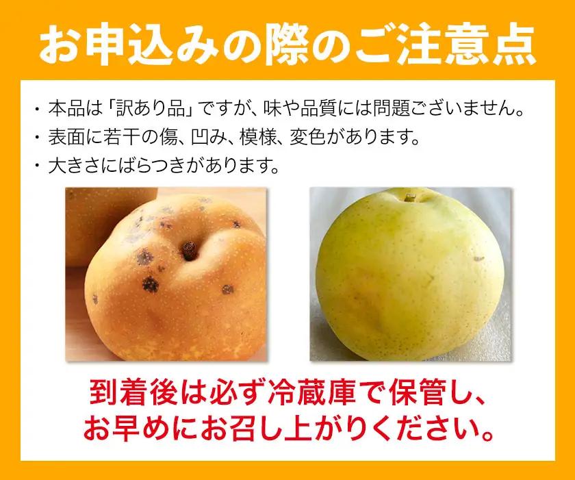 訳あり 旬の梨 約4kg 幸水 豊水 あきづき 新高 にっこり《8月上旬-10月中旬頃出荷予定》幸水梨