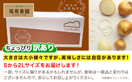 訳あり 栽培期間中 農薬不使用 サラダ玉ねぎ (S-2Lサイズ)  10kg《2月中旬-3月下旬頃出荷》熊本県 葦北郡 津奈木町 篠原農園 野菜 玉ねぎ たまねぎ 自然栽培 大小サイズ混合 ちょっと訳