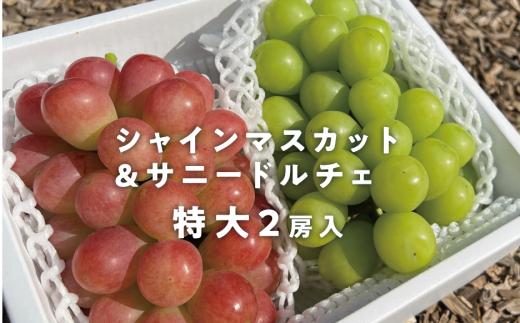 
                  大粒シャインマスカット＆サニードルチェ 特大2房入/計1.3kg~ (岡山県産)【KF-B023-01】
                