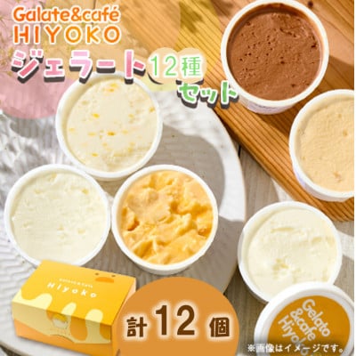 【兵庫県神河町発】ジェラート【おまかせ】詰め合わせ　90ml×12個【配送不可地域：離島】