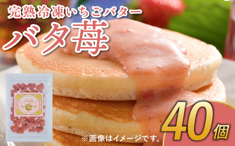 
            完熟 冷凍 いちごバター 「バタ苺」 1袋（12g×40個） 合計480g  園村苺園
          