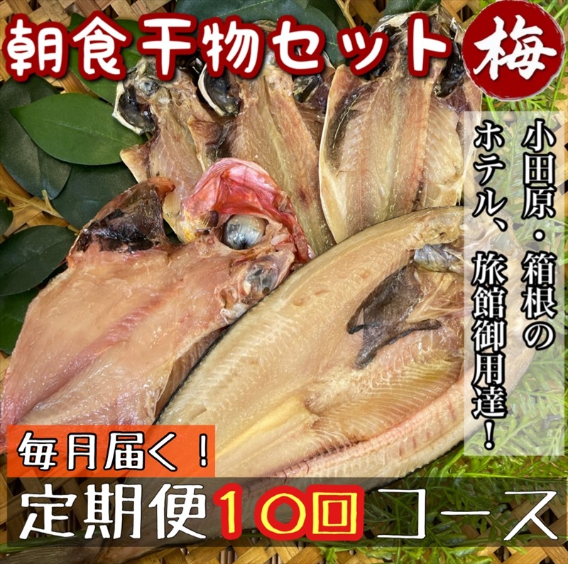 104-2760 【毎月定期便10回】小田原、箱根の旅館、ホテル御用達！朝食干物セット 梅【 まぐろや 神奈川県小田原市 】