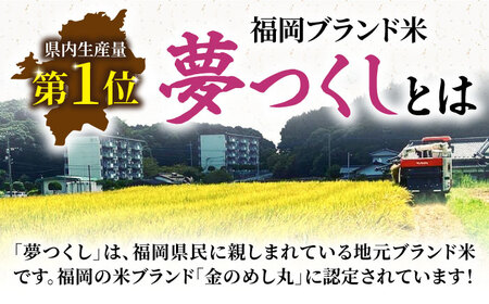 【新米先行予約】【全3回定期便】福岡県産米 夢つくし 20kg (10kg×2袋) 【2024年9月以降順次発送】 《豊前市》【湯越農園】米 精米 白米 [VBC014]