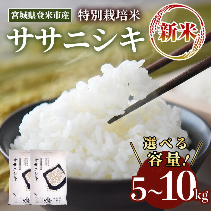 【ふるさと納税】≪令和7年産 新米≫ 特別栽培米 ササニシキ 5kg～10kg 選べる容量 登米市産 お米 おこめ 米 コメ ささにしき 白米 ご飯 ごはん おにぎり お弁当 【登米ライスサービス株式会社】tm156・tm157