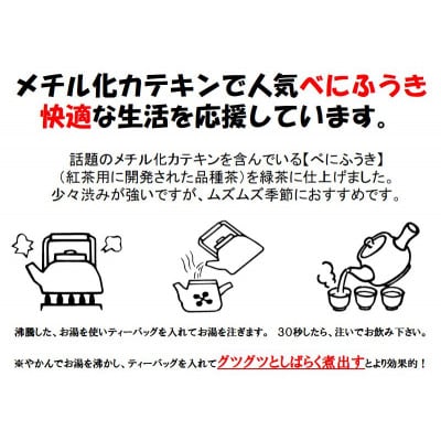 べにふうき緑茶(メチル化カテキン)ティーバッグ5g・10個入り×5袋 静岡県掛川産の深蒸し製法掛川茶【配送不可地域：離島・沖縄県】【1365371】