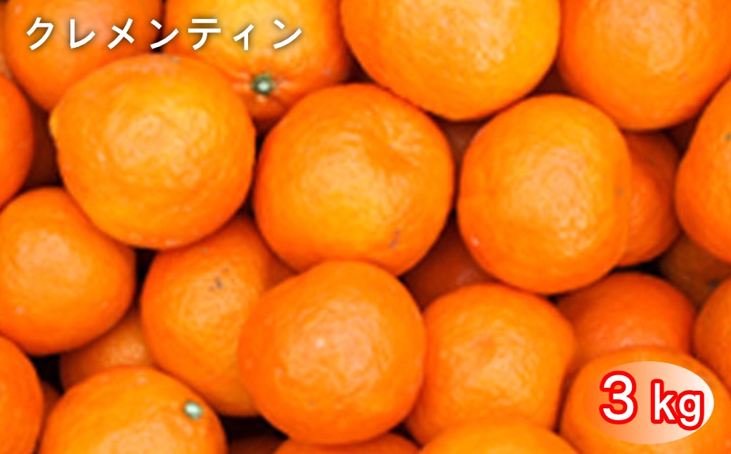 
                  太良町 山本農園の「クレメンティン」 3kg
                