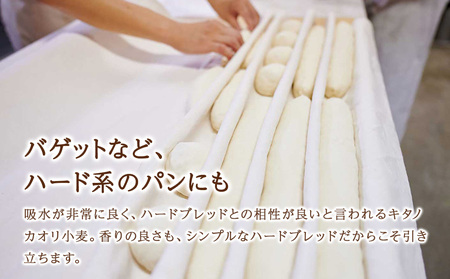 キタノカオリブレンド 2.5kg 北海道 小麦粉
