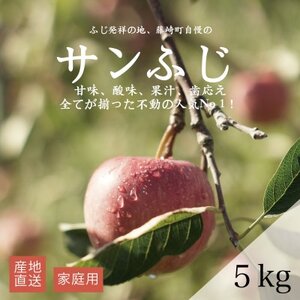 【産地直送】サンふじ　家庭用　5kg(12～20個)【配送不可地域：離島・沖縄県】【1667200】