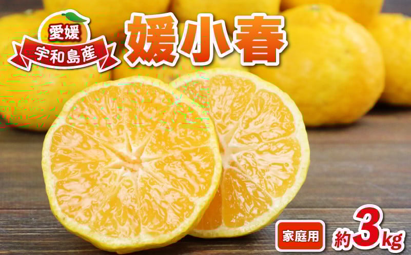 
            媛小春 3kg 愛媛みかん 兵頭農園 みかん mikan 愛媛ミカン 愛媛蜜柑 ひめこはる 愛媛県産 限定 希少 品種 蜜柑 果物 フルーツ 柑橘 高級 産地直送 農家直送 数量限定 国産 愛媛 宇和島 B010-055004
          