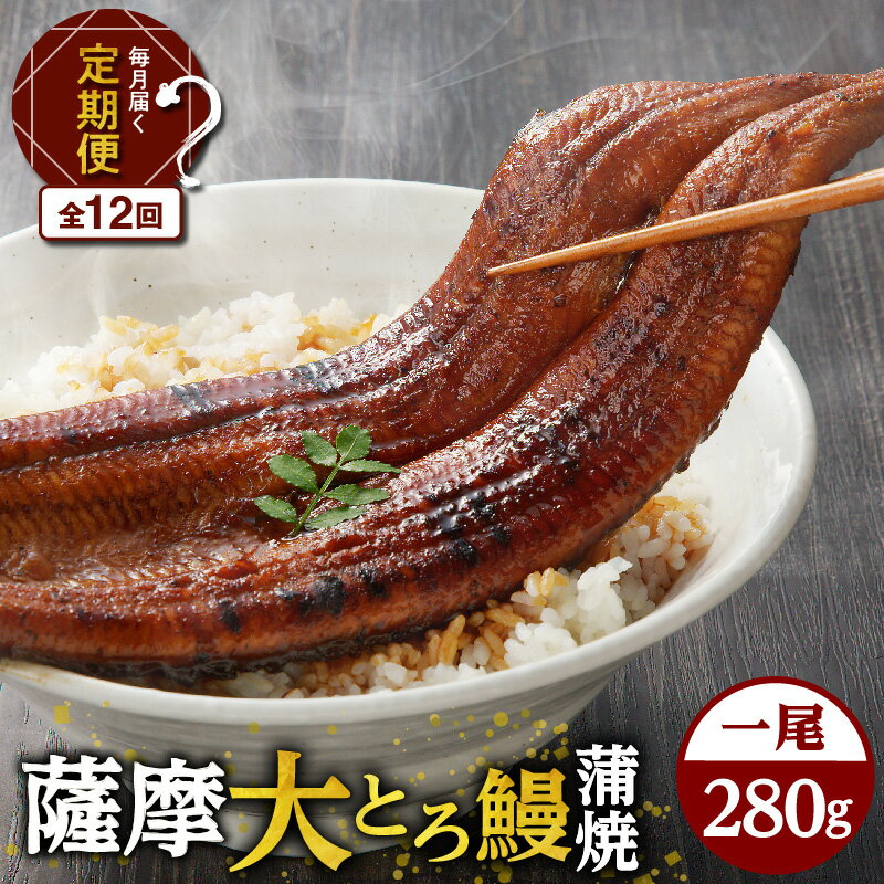 【ふるさと納税】【全12回定期便】薩摩 大とろ鰻 蒲焼 特大サイズ 一尾 280g 12回 うなぎ 鰻 蒲焼 うな丼 丼 うな重 ひつまぶし 大とろ 土用の丑の日 丑の日 惣菜 うなぎのたれ タレ 定期 定期便 せんゆう鰻屋 株式会社志 鹿児島市 おすすめ ランキング プレゼント ギフト