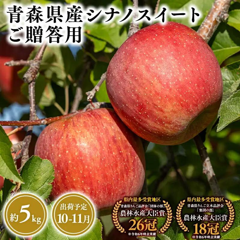 りんご 贈答用 シナノスイート5kg 【hi-0053-027】