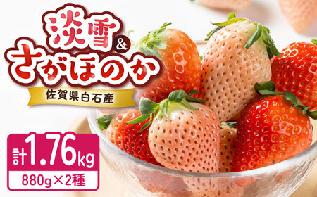 【2026年発送分 先行予約】淡雪・さがほのか 紅白いちごセット 220g×8パック / 佐賀県 / 岸川農園[41ASAG012]