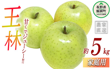 りんご 王林 家庭用 5kg ヤマハチ農園 沖縄県への配送不可 2026年11月中旬頃から2026年11月下旬頃まで順次発送予定 令和8年度収穫分 BLOF理論栽培 信州 果物 フルーツ リンゴ 林檎 長野 予約 農家直送 長野県 飯綱町 [1010]