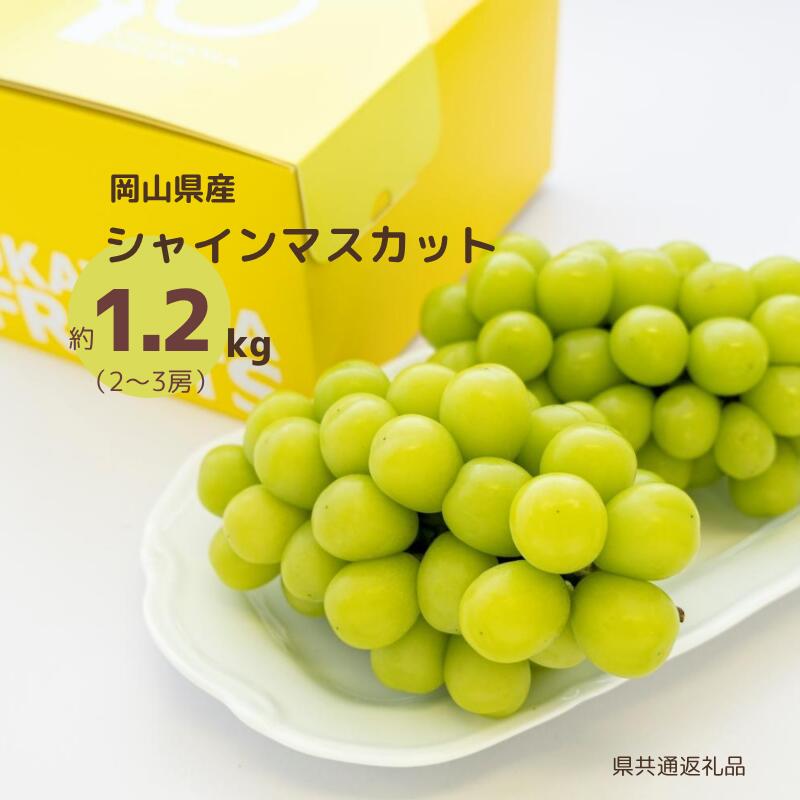 【ふるさと納税】 先行予約 シャインマスカット マスカット 1.2kg 2房 3房 ぶどう 種無し おすすめ 人気 美味しい 甘い 大きい プレゼント お裾分け ギフト 贈り物 贈答 贈答用 夏の贈り物 岡山 新見 特産品 露地 A級食材 フルーツ 果物 送料無料