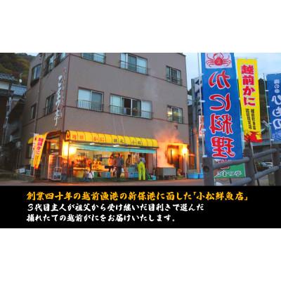 ふるさと納税 越前町 【訳あり】足折れ 越前がに 大きめサイズ × 1杯(800〜900g)【2024年12月発送分】 |  | 03