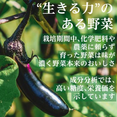 ふるさと納税 掛川市 【毎月定期便】有機 野菜　おためしセット　オーガニック野菜　有機JAS　しあわせ野菜畑全12回 |  | 01