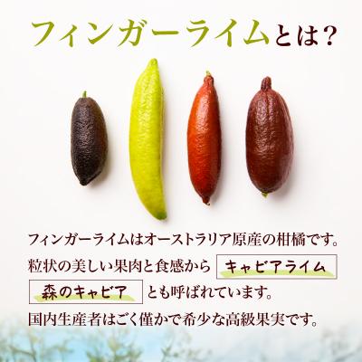 ふるさと納税 可児市 フィンガーライム　70g |  | 02