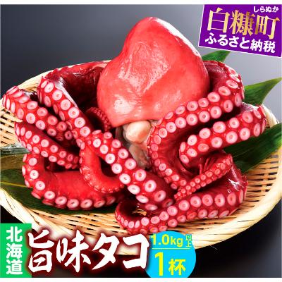 ふるさと納税 白糠町 北海道旨味たこ (1.0kg以上×1杯) たこブツもオススメ