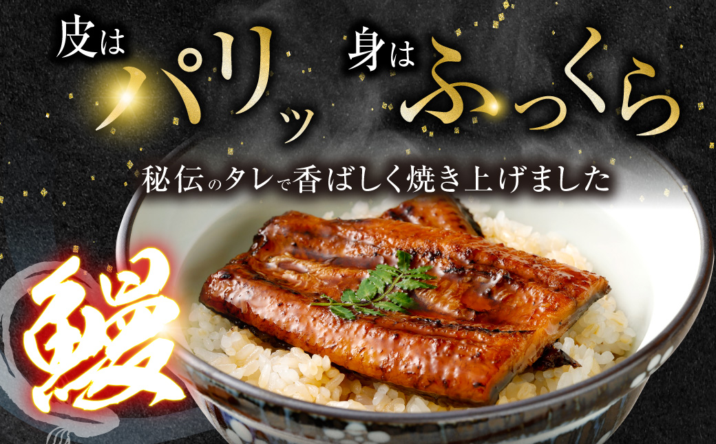 【ANA限定】九州産うなぎ蒲焼 2尾 食べごたえある2人前 ASA-840