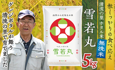 令和8年産予約 【無洗米】最上町産 ホタル米雪若丸5kg×1袋